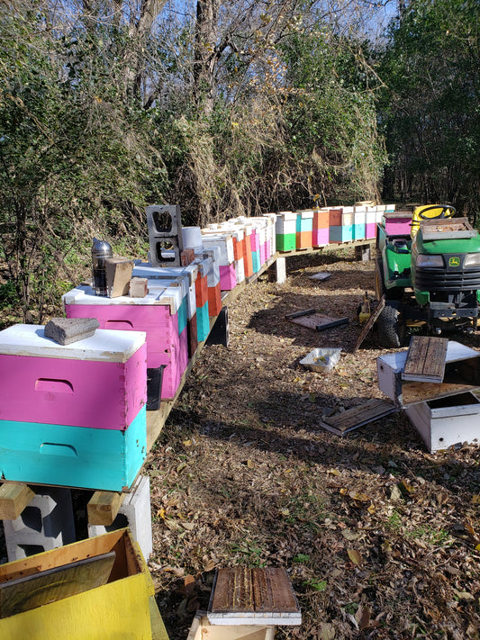 How Did Your Bees Do This Year?