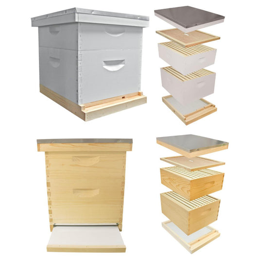 10 Frame Complete Hive Kit Combo