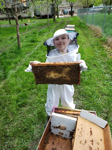 Minnesota Overwintered Nuc, Carniolan Bees — Proven Survivor Stock