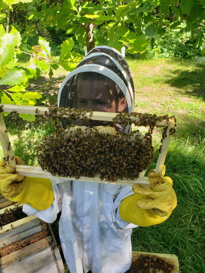 A person in beekeeping gear holding a frame from a 5-Frame Nucleus Colony (Nuc) containing Italian bees