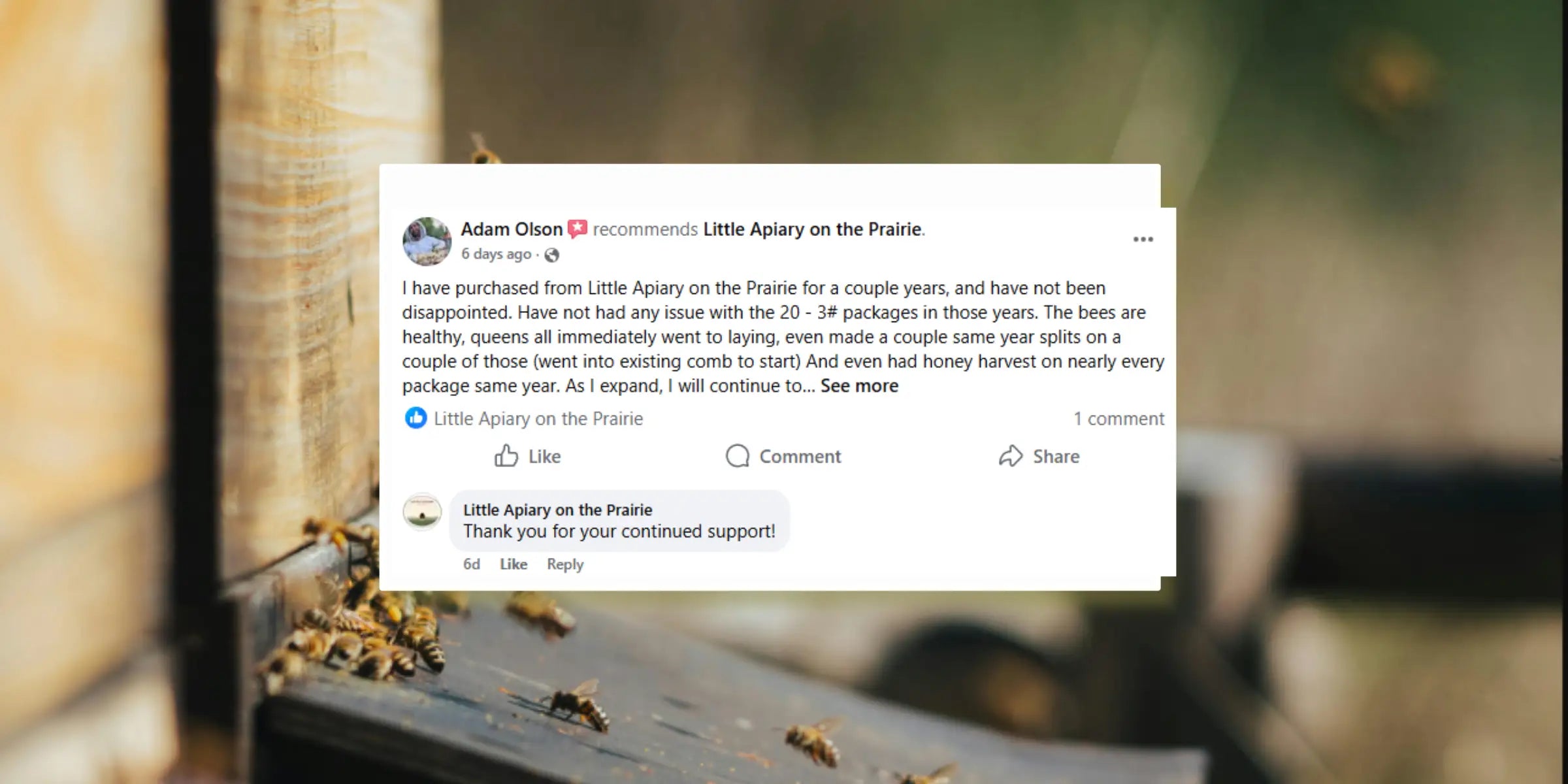 Package Bees, Nucs, and Queens for Sale | Little Apiary on the Prairie