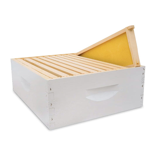 Assembled 10-Frame Super Kit, Standard Plastic-Frame