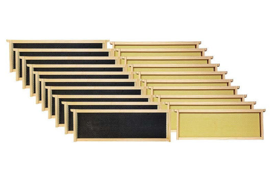 6 1/4" Natural Assembled Frames w/ Waxed Rite-Cell Foundation, Case of 20