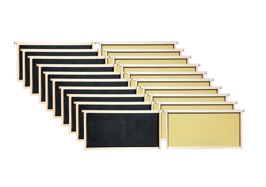 9 1/8" Assembled Frames w/ Waxed Rite-Cell Foundation, 10-Pack