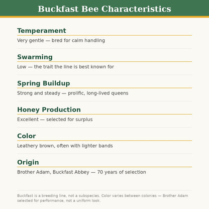 Spring 2027 Pre-Order: Buckfast Package Bees, 3 lb — Gentle and Low-Swarming
