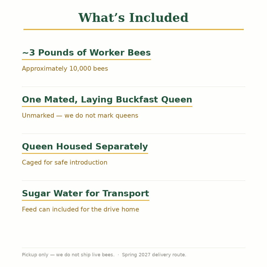 Spring 2027 Pre-Order: Buckfast Package Bees, 3 lb — Gentle and Low-Swarming