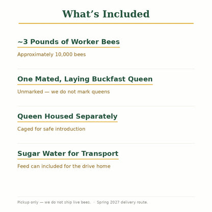 Spring 2027 Pre-Order: Buckfast Package Bees, 3 lb — Gentle and Low-Swarming
